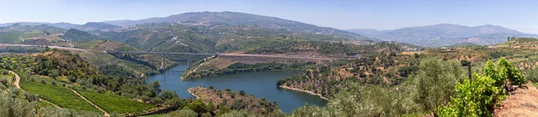 Panoramiczny Widok Lotu Ptaka Nad Rzeką Douro Regui Typowy Krajobraz — Zdjęcie stockowe