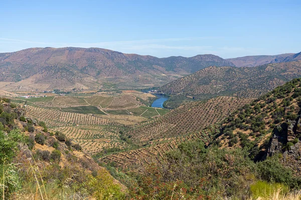 Uluslararası Douro Parkı 'nın tipik panoramik manzarası, Portekiz' in kuzeyindeki dağlık alanlar, üzüm bağları ve zeytin ağaçları için tarım seviyeleri...