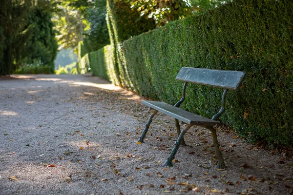 Bahçenin yanındaki patikada eski ve klasik ahşap ve demir bahçe tezgahı manzarası...
