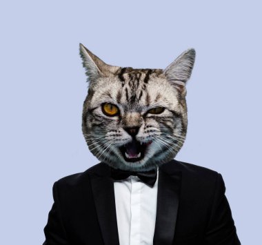 Çağdaş sanat kolaj. Kedi giyen takım elbise.