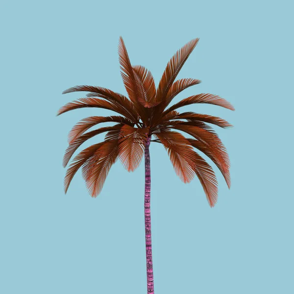 棕榈树例证在颜色背景 — 图库照片