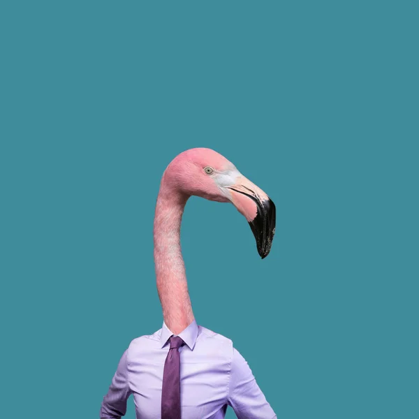 Lustige Kunst Konzept Flamingo Mit Anzug — Stockfoto