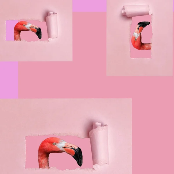 Arte Engraçada Três Flamingos Sobre Fundo Rosa — Fotografia de Stock