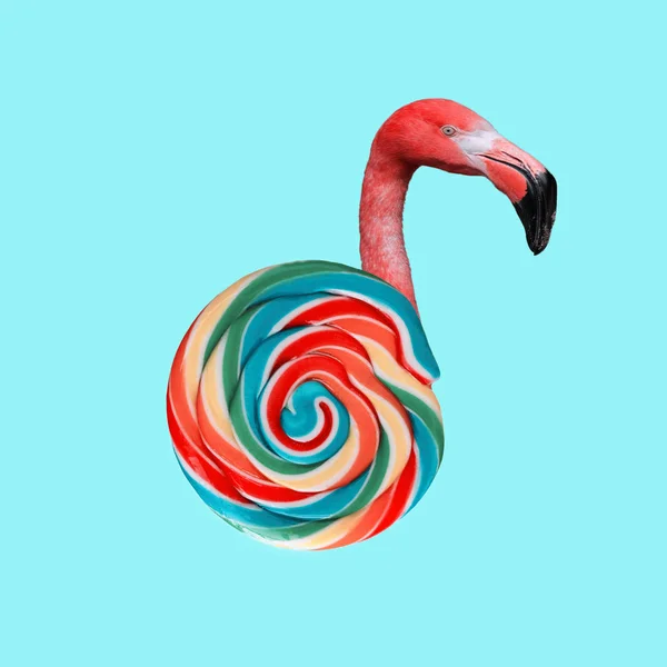 Seni Yang Lucu Konsep Lollipop Flamingo — Stok Foto
