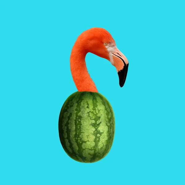 Contemporary Art Collage Concept Flamingo Watermelon — Stock Photo, Image