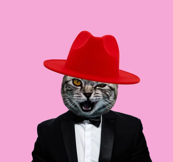 Kolase Seni Kontemporer Suit Cat Mengenakan Topi Merah Latar Belakang — Stok Foto