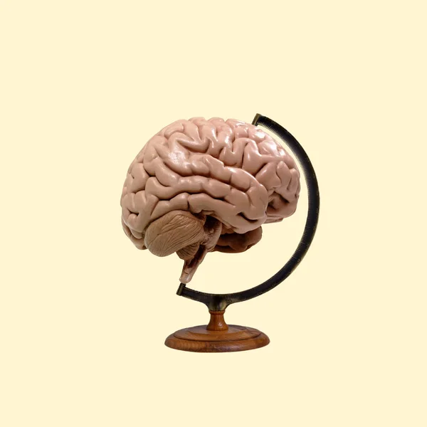 Kolase Seni Kontemporer Konsep Brain Globe Stok Foto