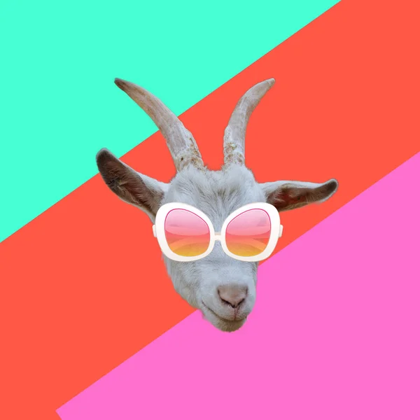 Funny Art Concept Goat Sunglasses — Stok Foto