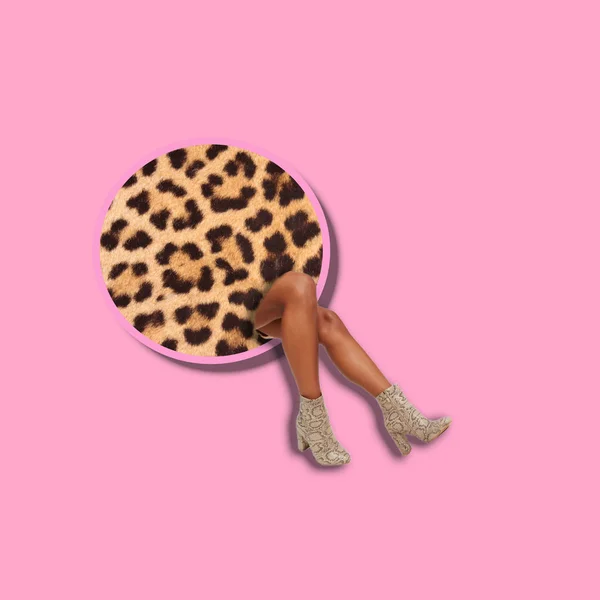 Arte Engraçada Conceito Redondo Leopardo Pernas — Fotografia de Stock