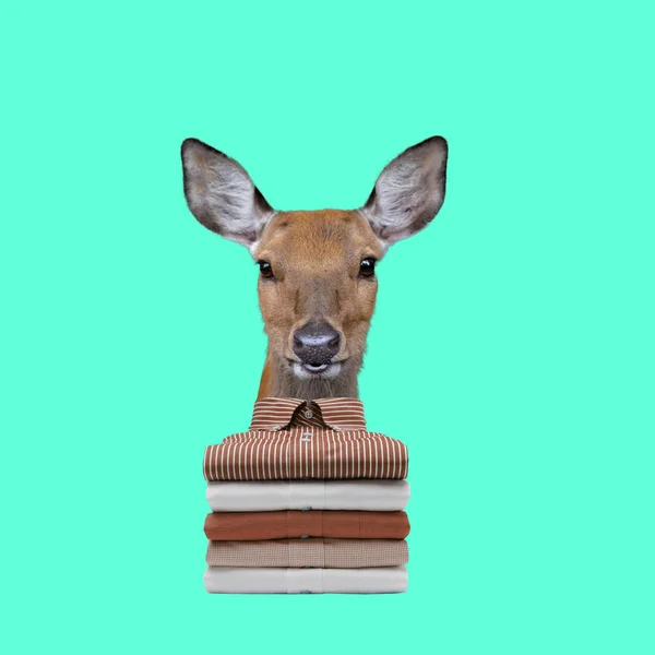 Funny Art Concept Deer Shirts — Stockfoto