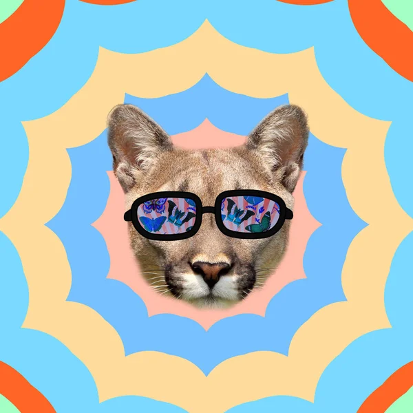 Contemporary Art Collage Concept Tiger Sunglasses Colorful Background — Stok Foto