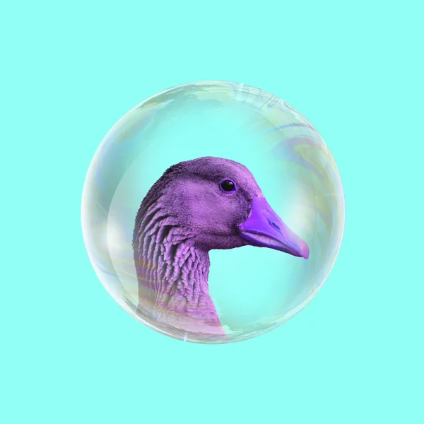 Contemporary Art Collage Duck Bubble — Stock Photo, Image