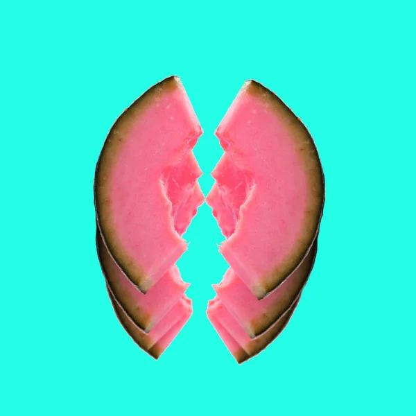 Collage Współczesnej Sztuki Pink Egzotycznych Melony — Zdjęcie stockowe