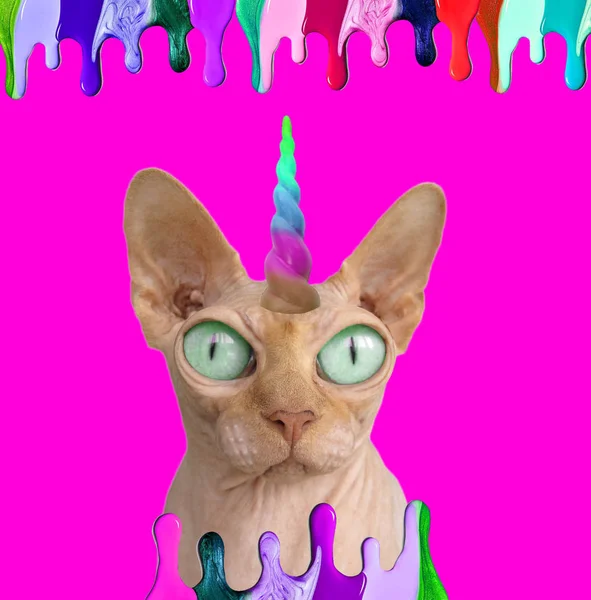 Kolase Seni Kontemporer Kucing Sphynx Dengan Unicorn Latar Belakang Merah — Stok Foto