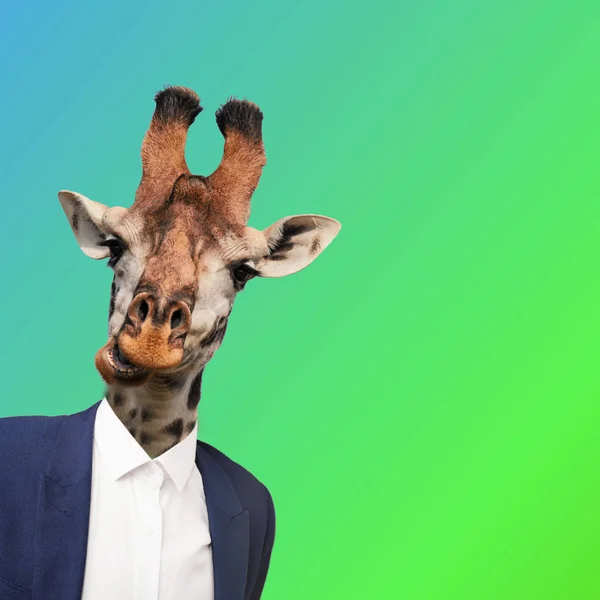 Contemporary Art Collage Man Giraffe Head Stock Photo