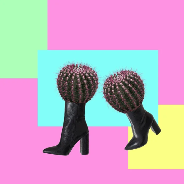 Contemporary Art Collage Concept Cactuses Boots — Stok Foto