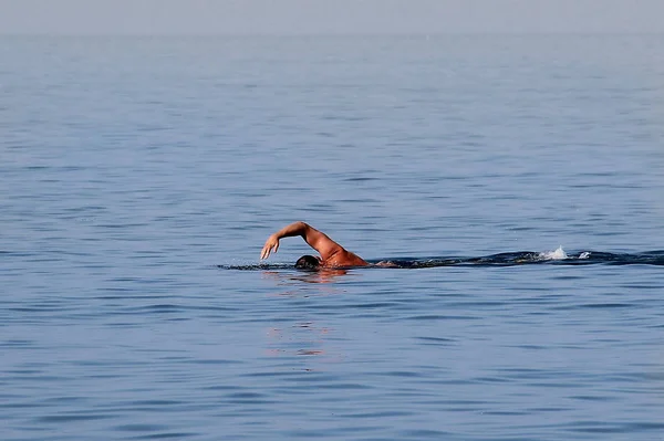 Natation Une Personne Dans Lac Été Image En Vente