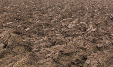 Taze sürülmüş arazi. Kahverengimsi kabartma doku. Dikim için gevşek toprak. 