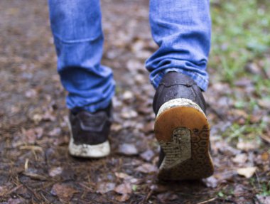 Ormanda yürüyen bir adam. spor ayakkabılar kapanır. hareket halinde adım