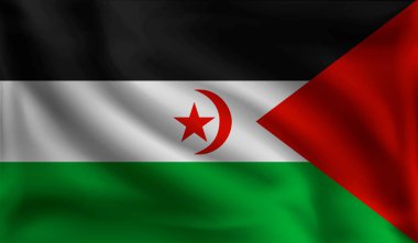 Sallayarak Sahra Arap demokratik Cumhuriyet bayrağı, Sahra Arap demokratik Cumhuriyeti bayrağı, vektör illüstrasyon