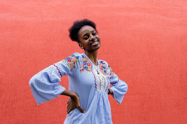 Gli Afroamericani Felici Contro Muro Rosso — Foto Stock