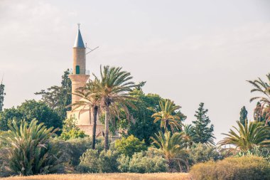 Allah'ın güçlülük bir sembolü olarak oasis Camii