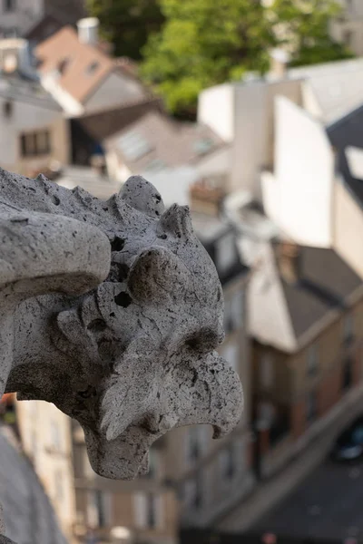 Gargoyle Basilique Del Sacro Cuore Veille Sur Paris — Photo