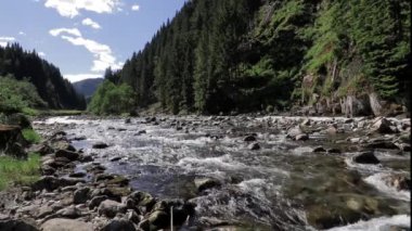 Norveç'te hızlı dağ nehir manzarası