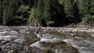 Norveç'te hızlı dağ nehir manzarası