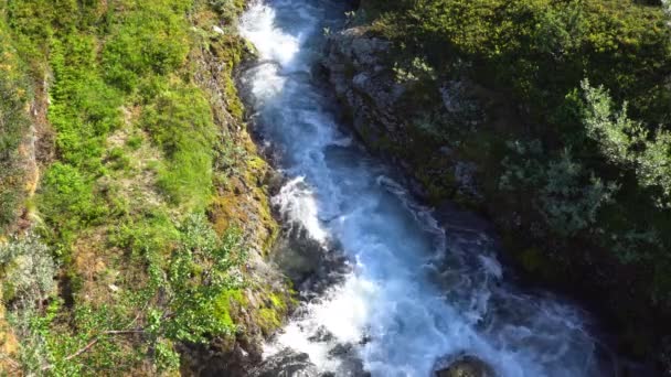 Hızlı Dağ Nehri Vadisi Norveççe Highlands — Stok video