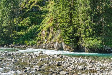 Norveç'te hızlı dağ nehir manzarası