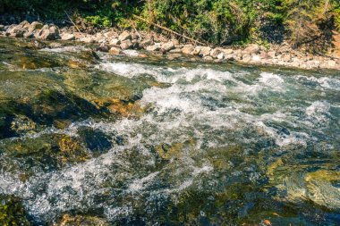 Norveç'te hızlı dağ nehir manzarası