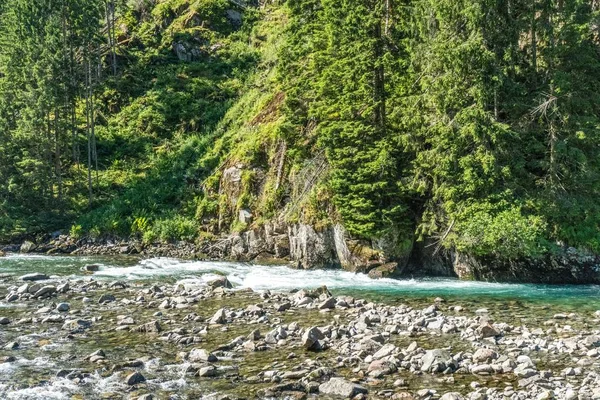 Norveç'te hızlı dağ nehir manzarası