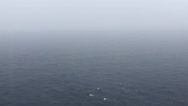 Fortes Pluies Tropicales Dans Endroit Éloigné Large Île Bornéo — Video