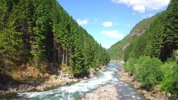 ノルウェーの高速山の川の風景の空中 — ストック動画