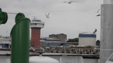 Bir geminin güvertesinden liman varış görünümü, raf odak, martılar uçan ve limanda gemi karşılama
