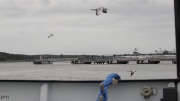 港口到达视图从船舶的甲板 机架焦点 海鸥飞行和欢迎船舶在港口 — 图库视频影像