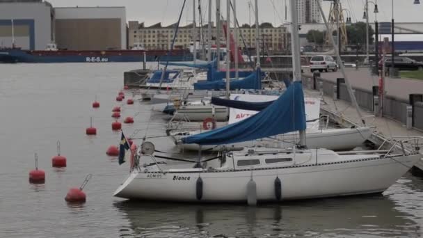 Small Yachts Marina Harbor — Stock Video