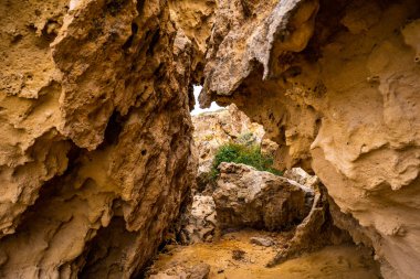 Kum taş Kanyonu. Avakas Gorge Paphos Kıbrıs'ın bölgesi