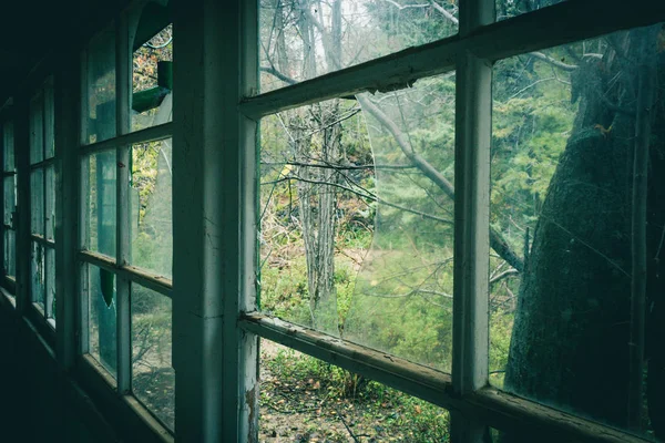 Una Vista Sobre Bosque Pinos Desde Una Ventana Del Hospital — Foto de Stock