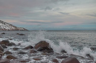 Rusya'nın kuzeyine seyahat