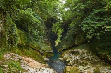 Gürcistan'ın Doğası 2019