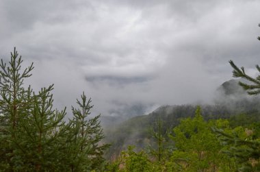 Gürcistan'ın Doğası 2019
