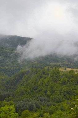 Gürcistan'ın Doğası 2019