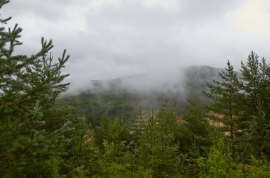 Gürcistan'ın Doğası 2019