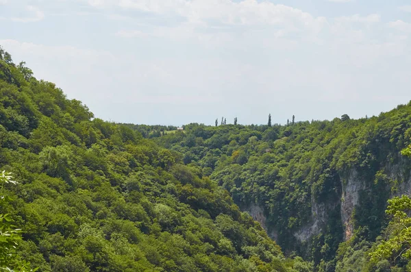 Gürcistan'ın Doğası 2019
