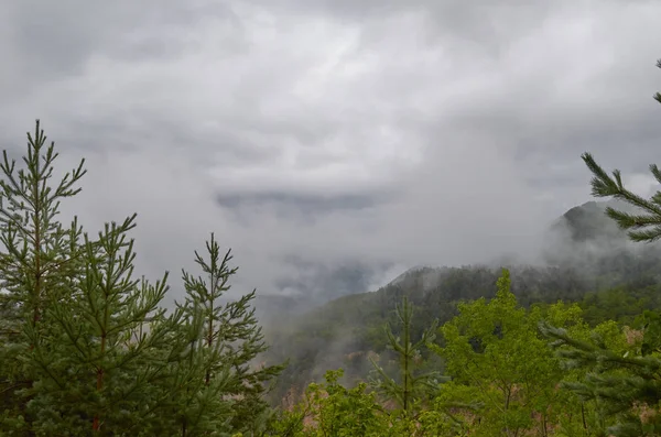 Gürcistan'ın Doğası 2019