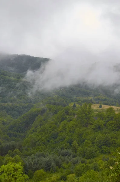 Gürcistan'ın Doğası 2019