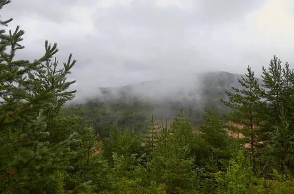 Gürcistan'ın Doğası 2019