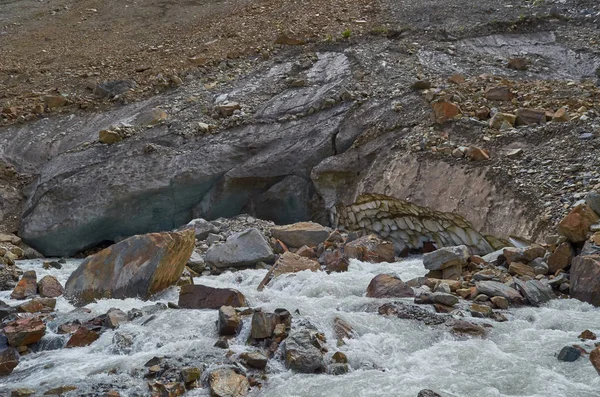 Gürcistan'ın Doğası 2019